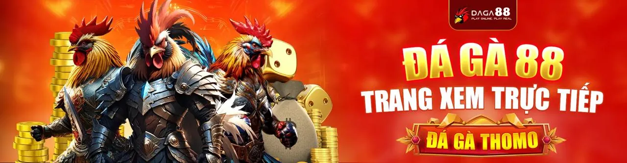 Đấu trường đá gà trực tuyến sôi động tại vmax8